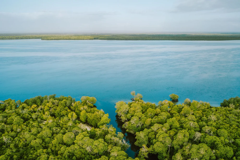 ./watamu-kenya_1777220247666